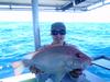 Fish pics from Broome